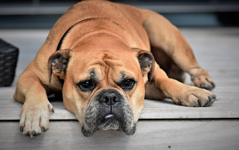 Boring Forex Trading